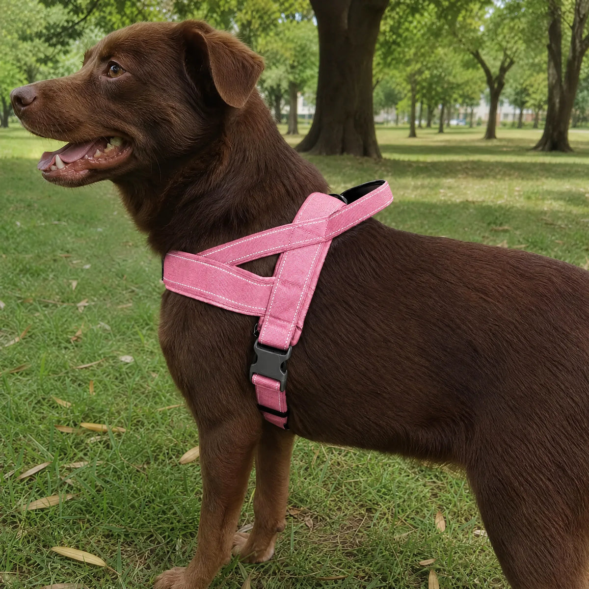 Cane sul prato con pettorina tattica rosa anti trazione