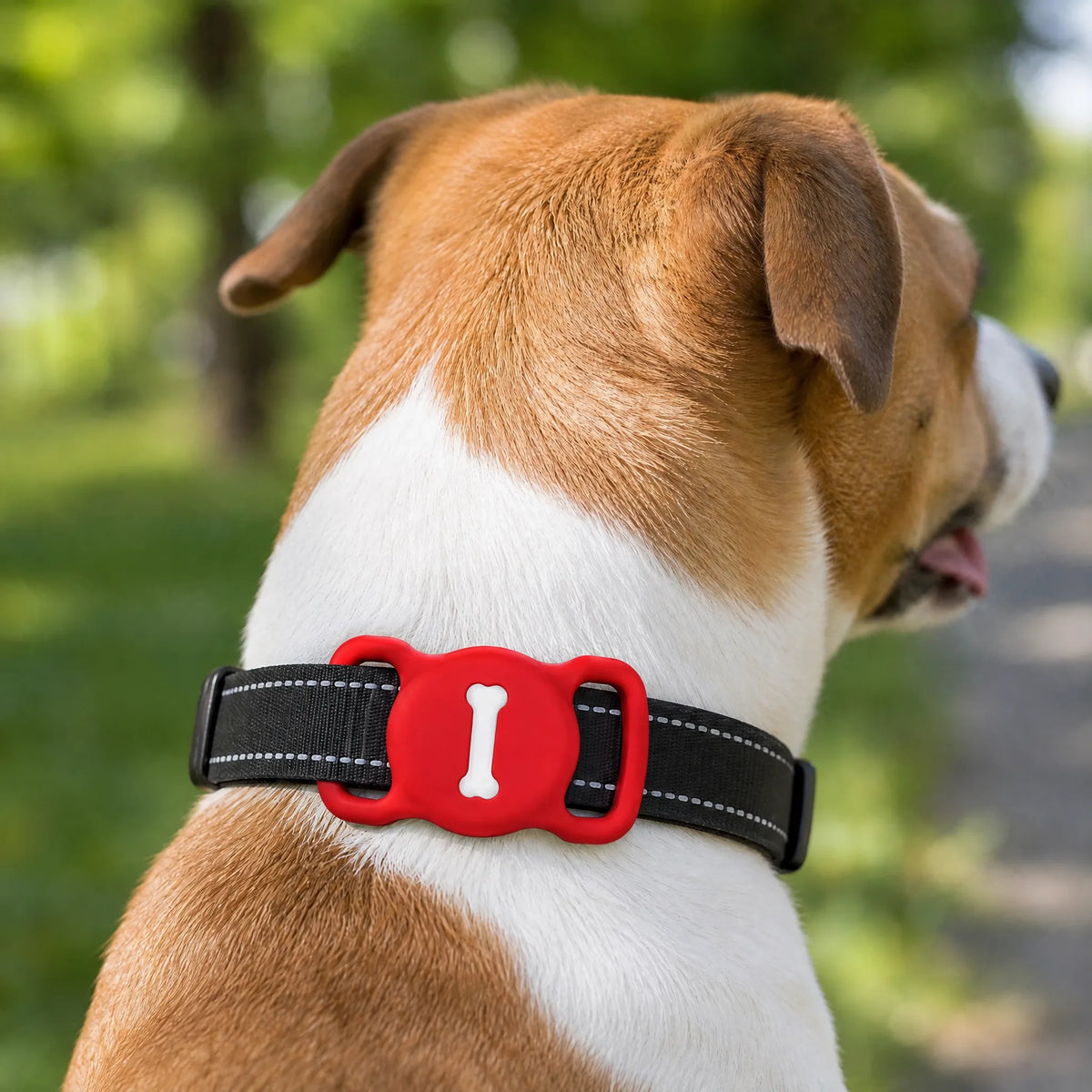 Cane al parco con porta AirTag rosso sul collare nero