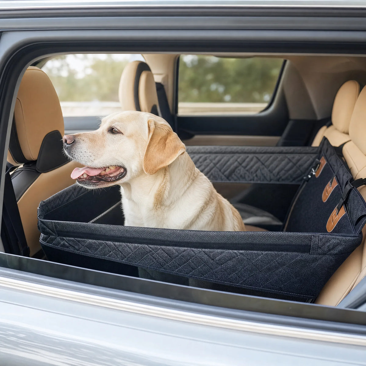 Seggiolino auto cane FrontGuard Solo cane al finestrino