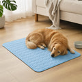 Golden retriever disteso sul tappetino rinfrescante in salotto