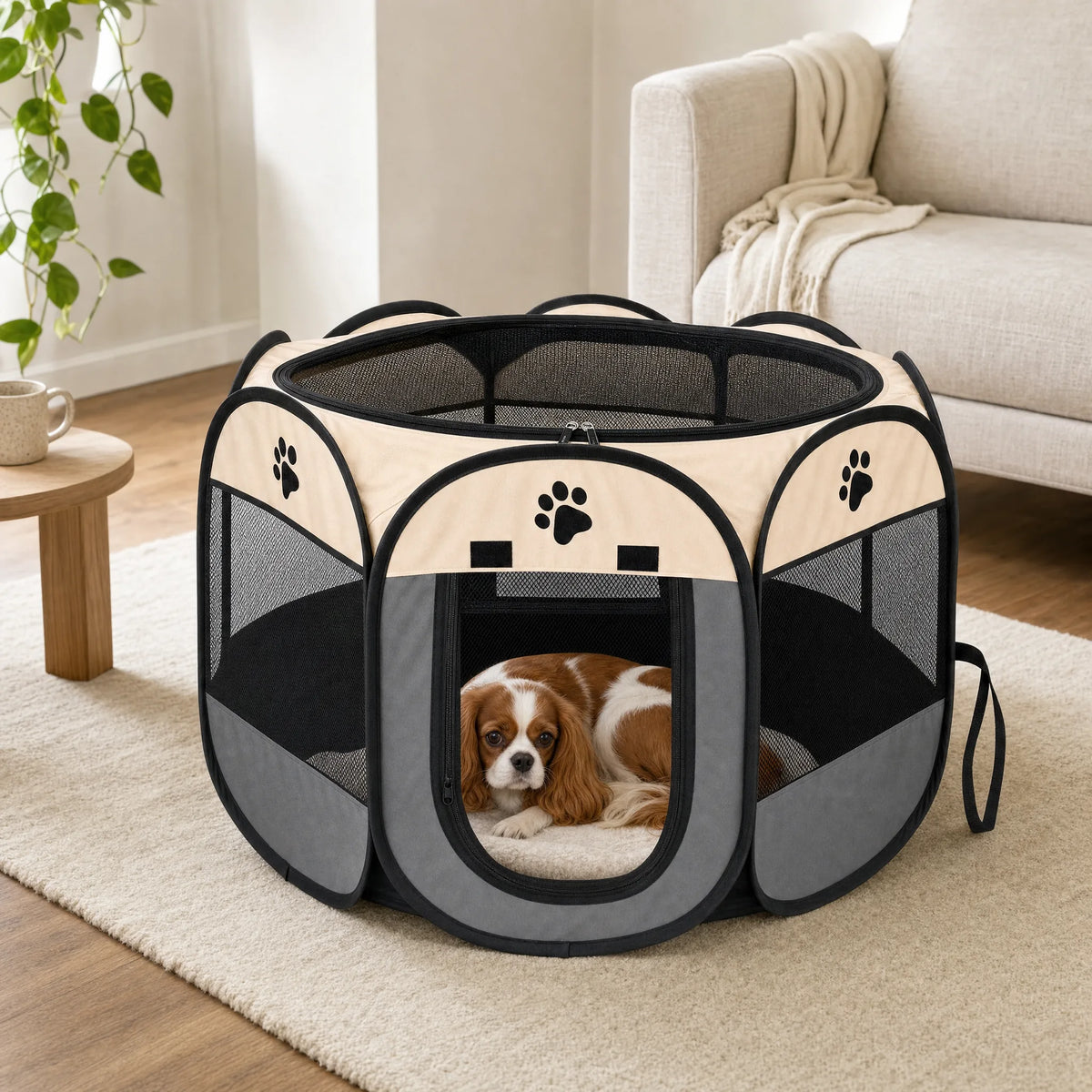 Cane rilassato dentro la tenda gazebo per cani in un ambiente domestico