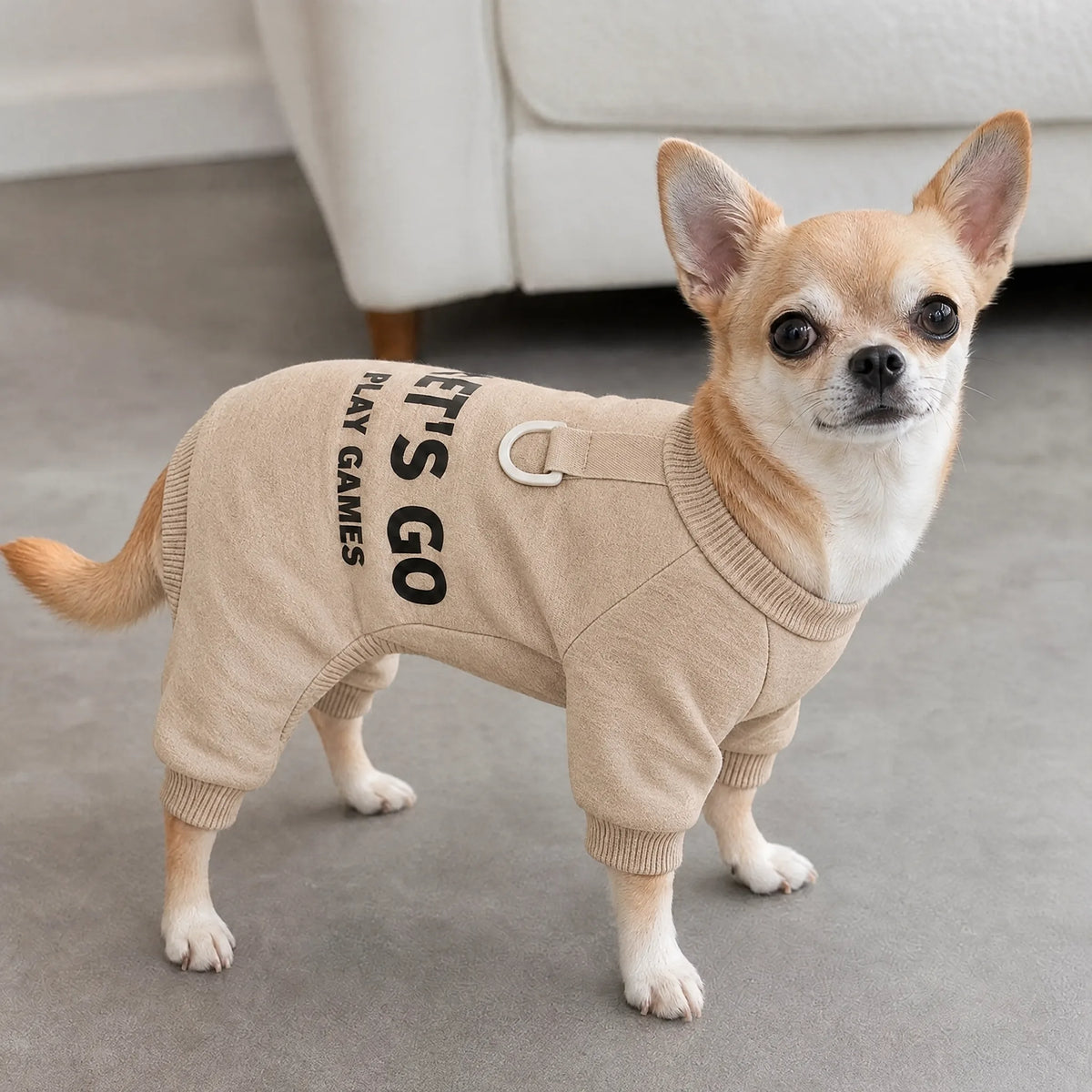 Cane in casa con tuta felpata beige e anello per guinzaglio