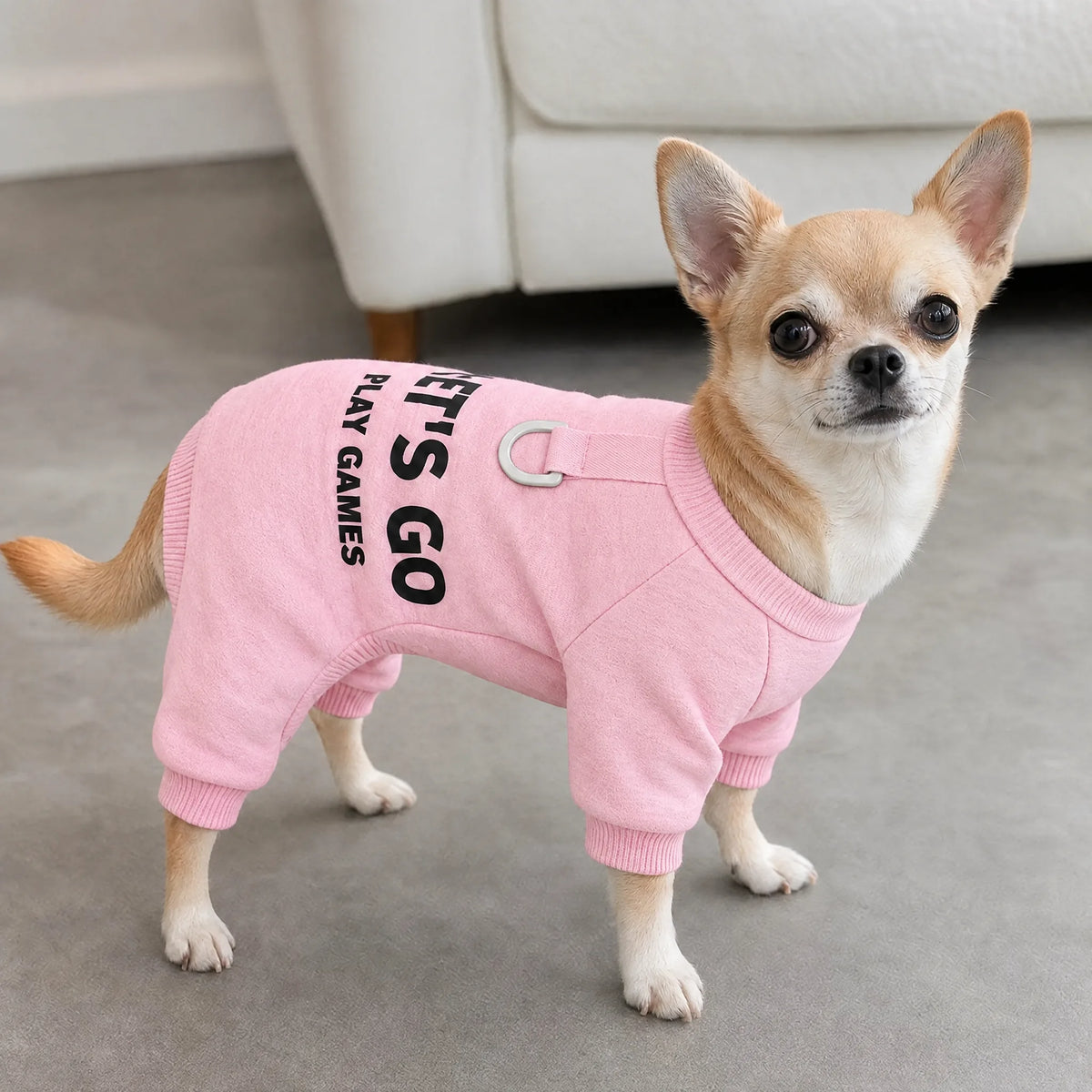 Cane in casa con tuta felpata rosa e anello per guinzaglio
