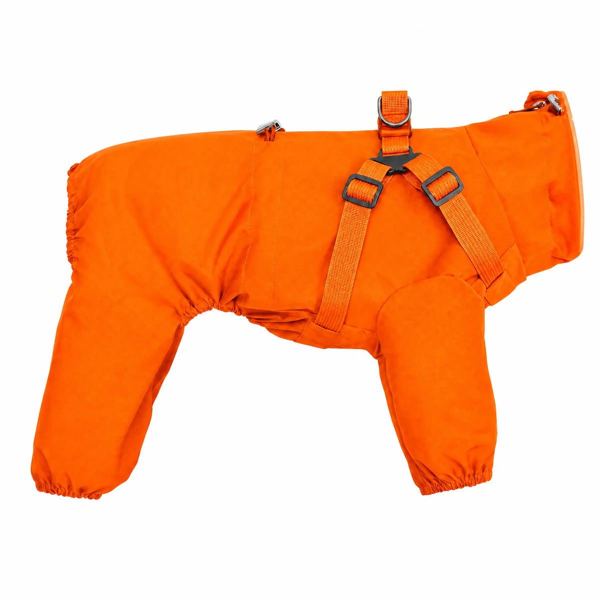 Impermeabile cane 4 zampe arancione con pettorina — studio