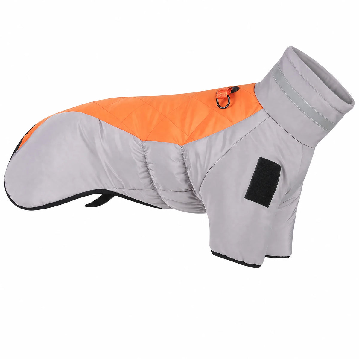 Cappotto cane invernale variante Arancione studio — grigio e accent arancio