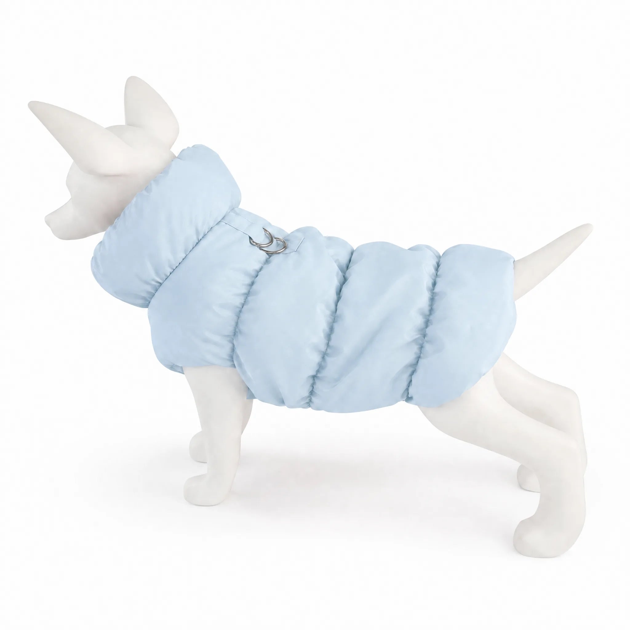Piumino cane smanicato azzurro su sfondo bianco