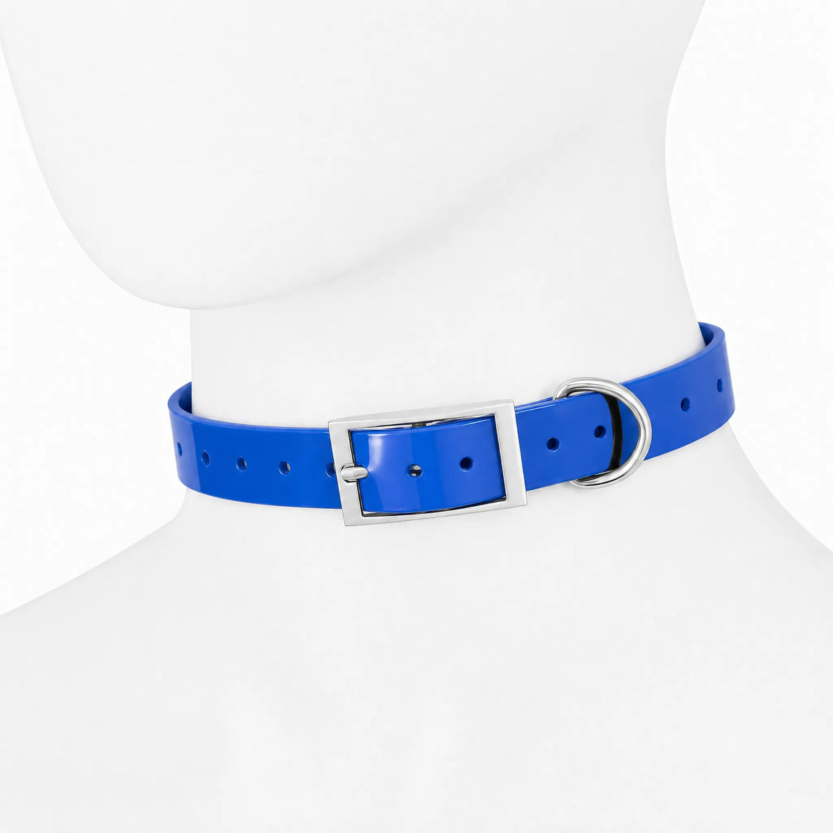 Collare cane TPU impermeabile blu 2,5 cm