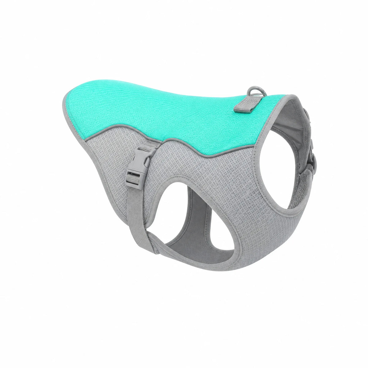 Giubbotto refrigerante cane colore blu menta su sfondo bianco