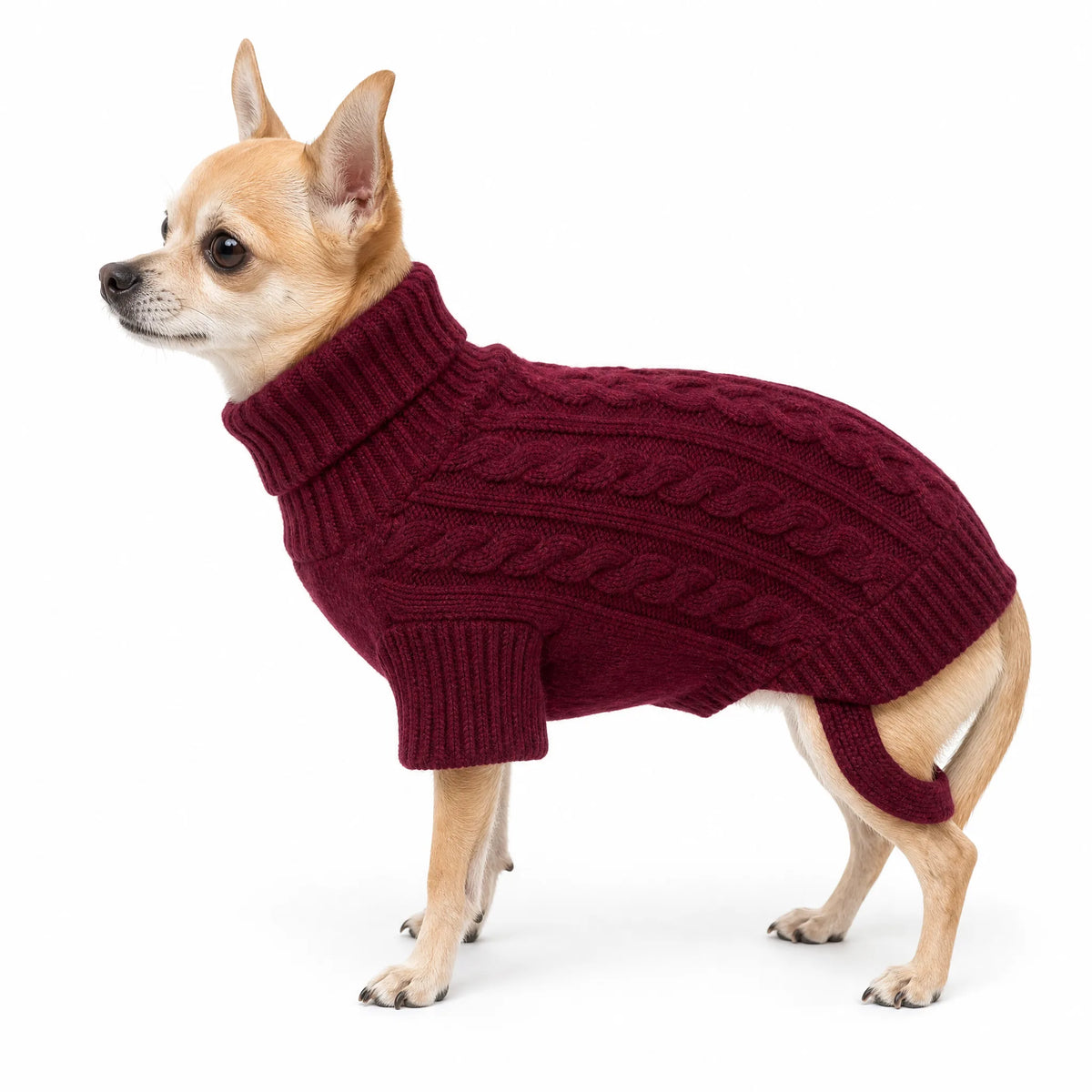 Maglione per cani dolcevita colore Rosso Bordeaux - vista laterale su sfondo bianco