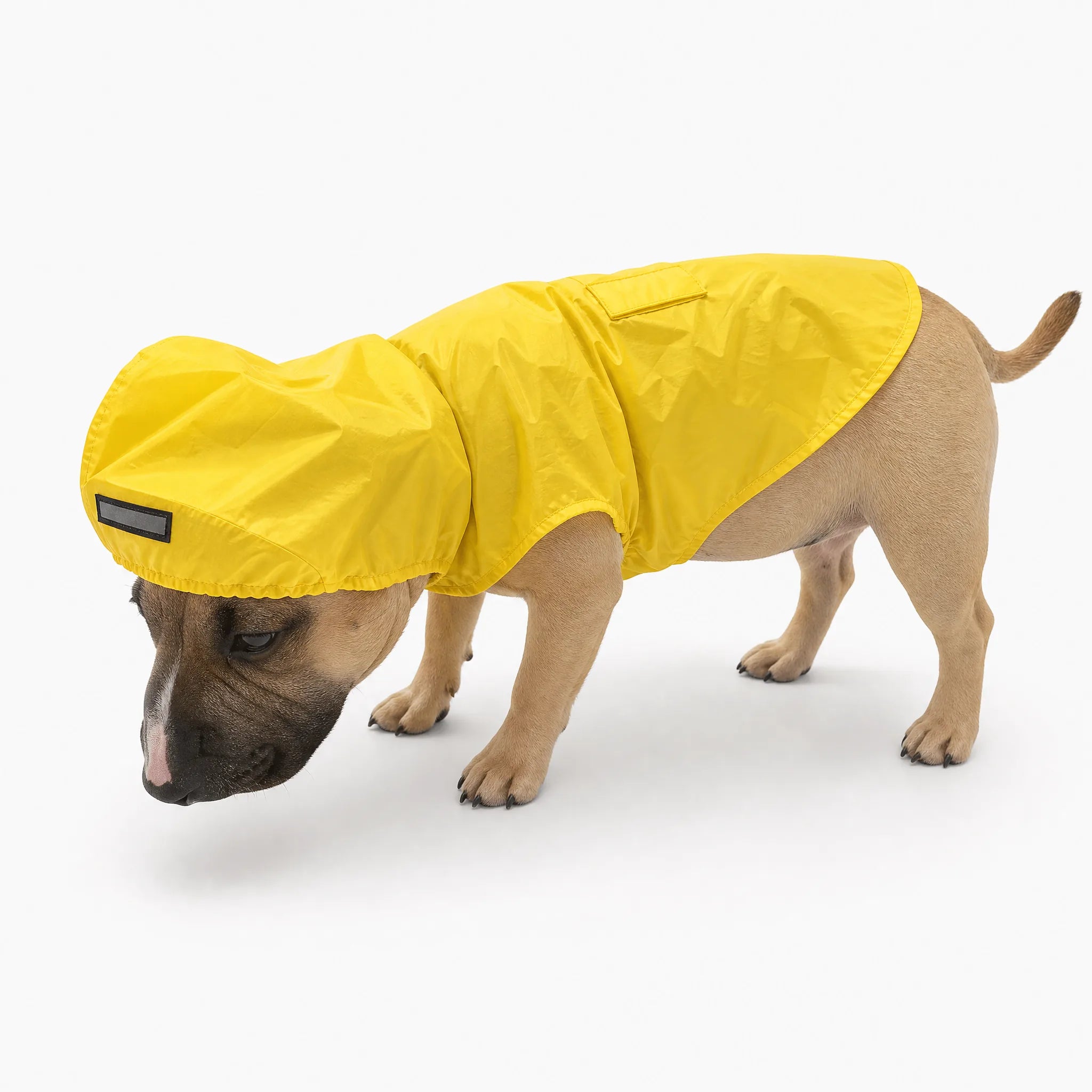 Poncho impermeabile per cani giallo con cappuccio, vista prodotto su bianco