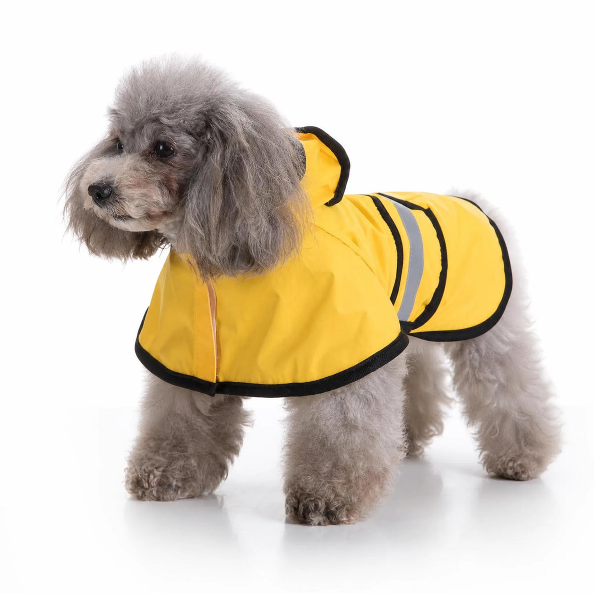 Impermeabile cane giallo regolabile su sfondo bianco