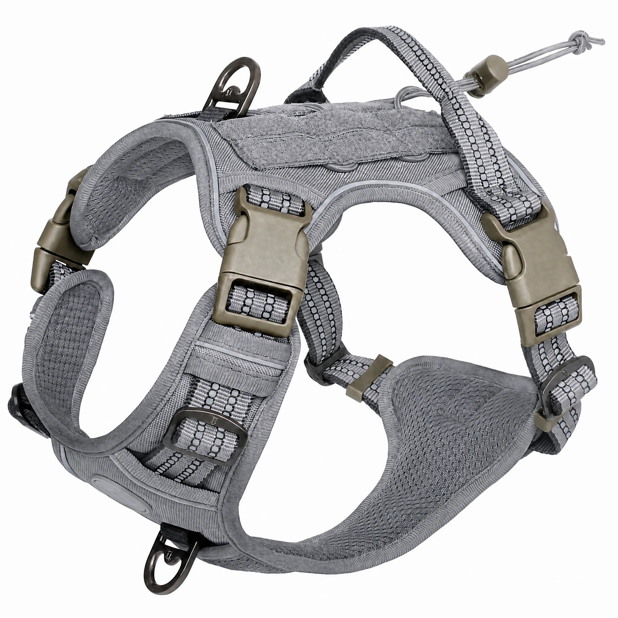 Pettorina tattica cane MOLLE colore grigio chiaro studio