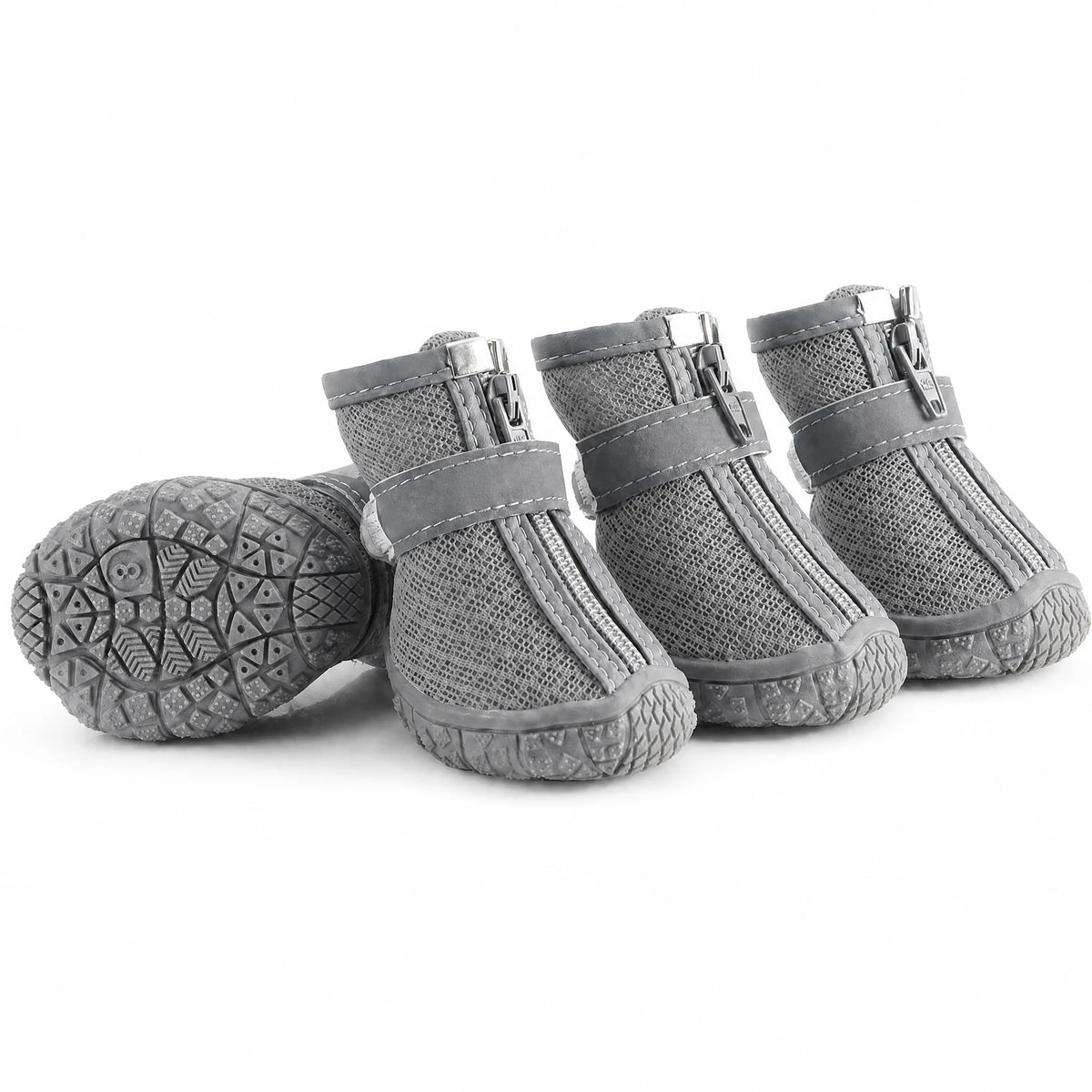 Scarpe cane mesh zip colore grigio set da 4