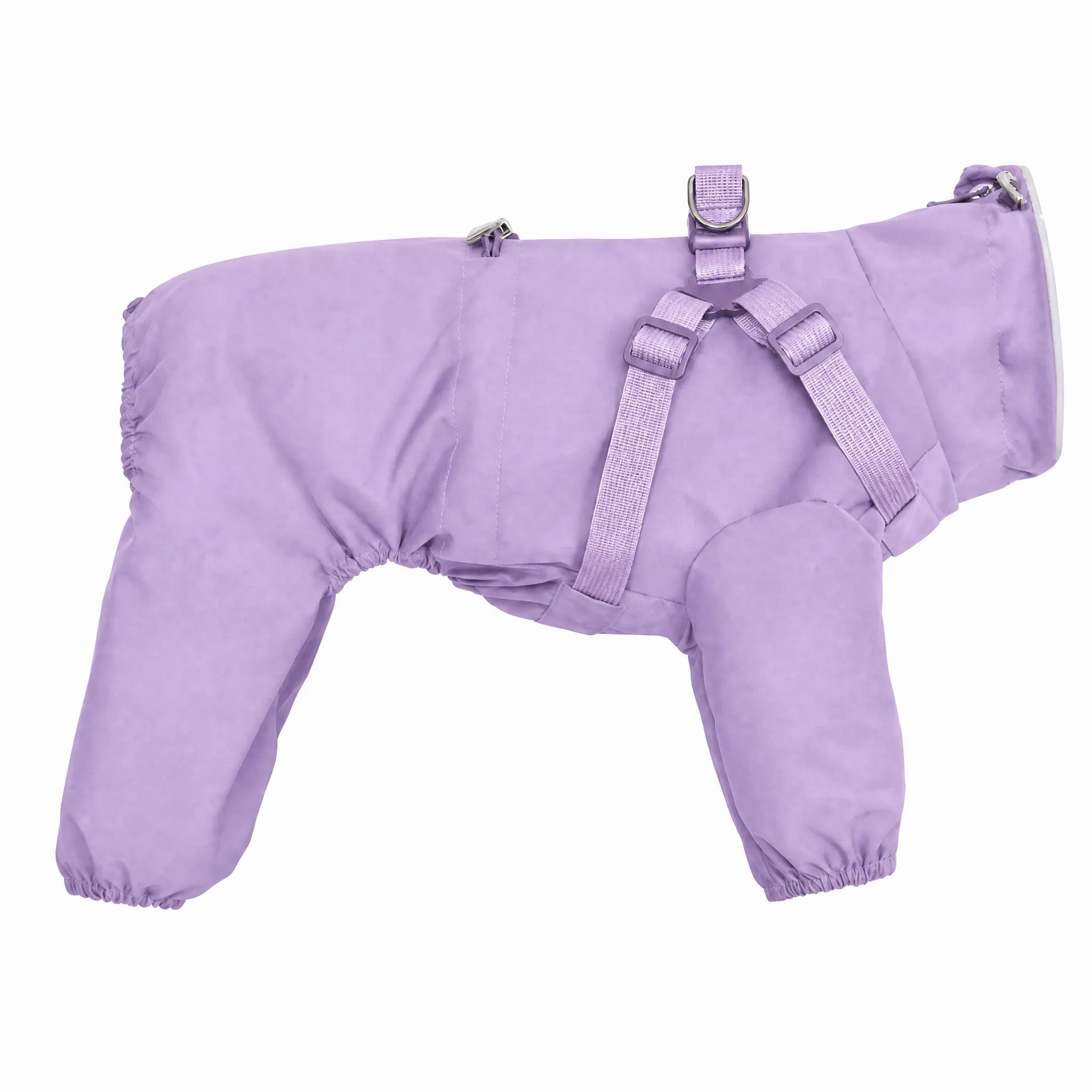 Impermeabile cane 4 zampe lilla con pettorina — studio