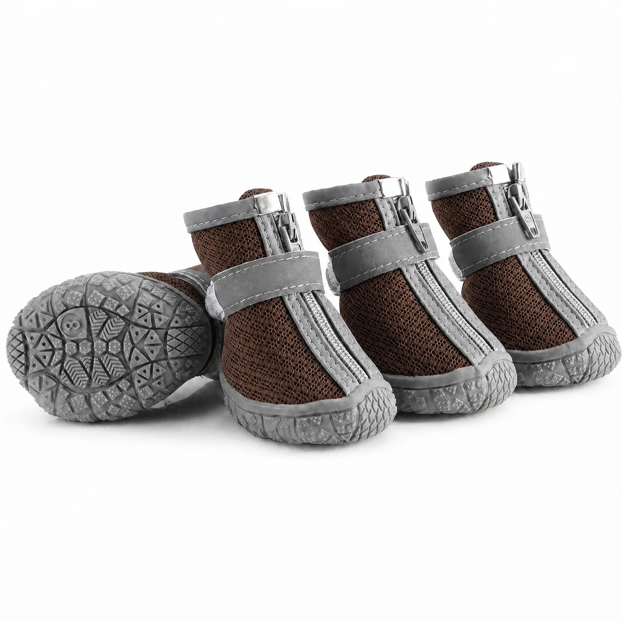 Scarpe cane mesh zip colore marrone set da 4