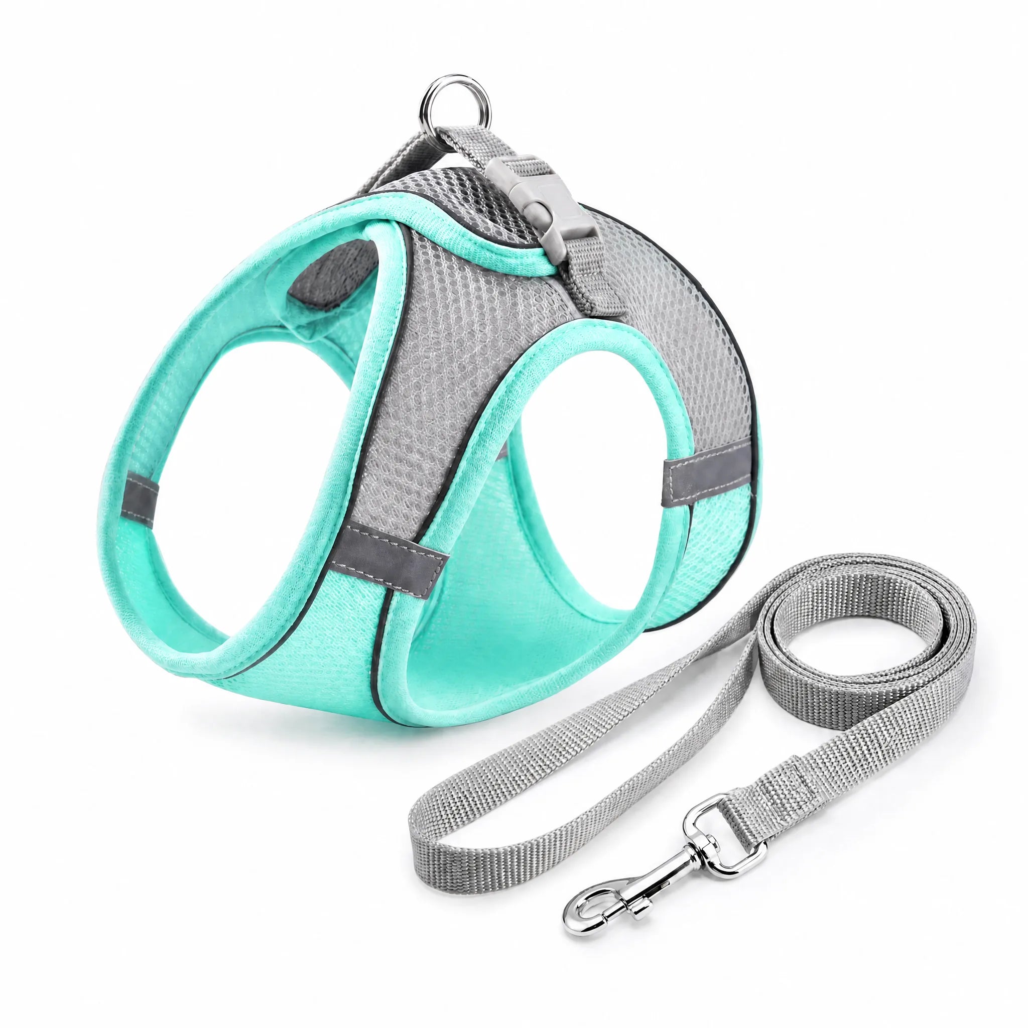 Pettorina mesh verde menta con guinzaglio set studio