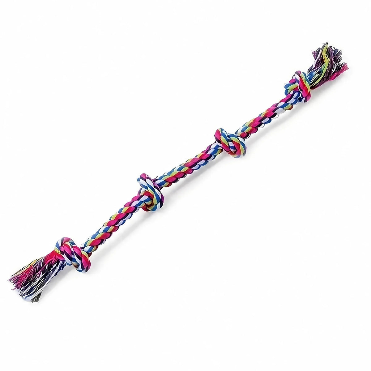 Gioco corda nodo cane Multicolore lineare studio