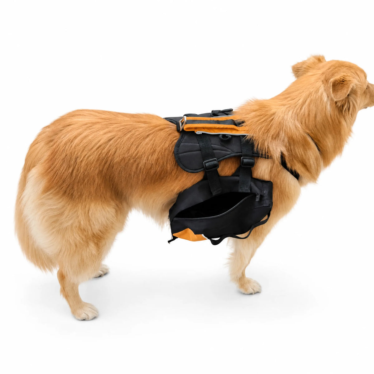 Zainetto per cani da trekking nero e arancione su sfondo bianco