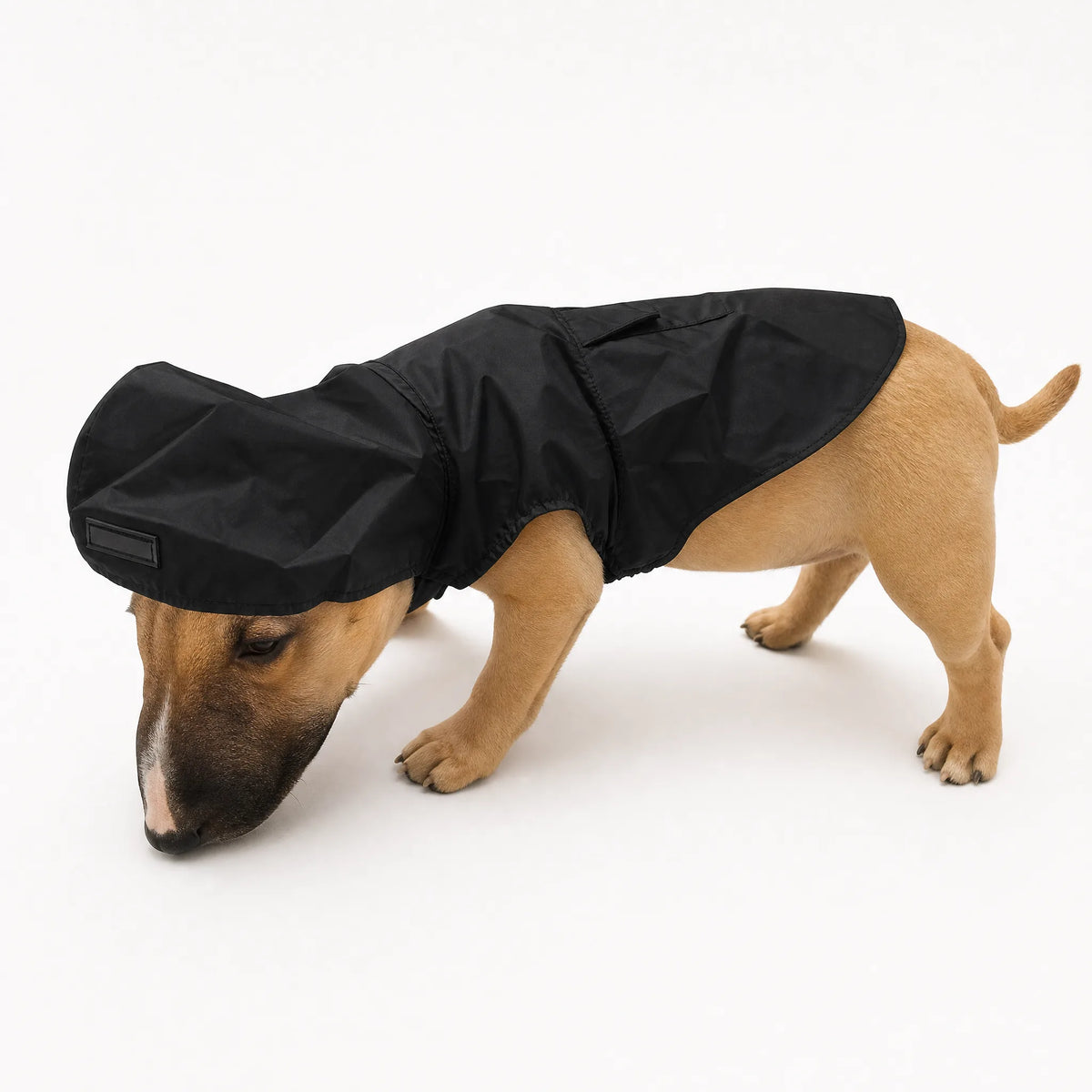 Poncho impermeabile per cani nero con cappuccio, vista prodotto su bianco