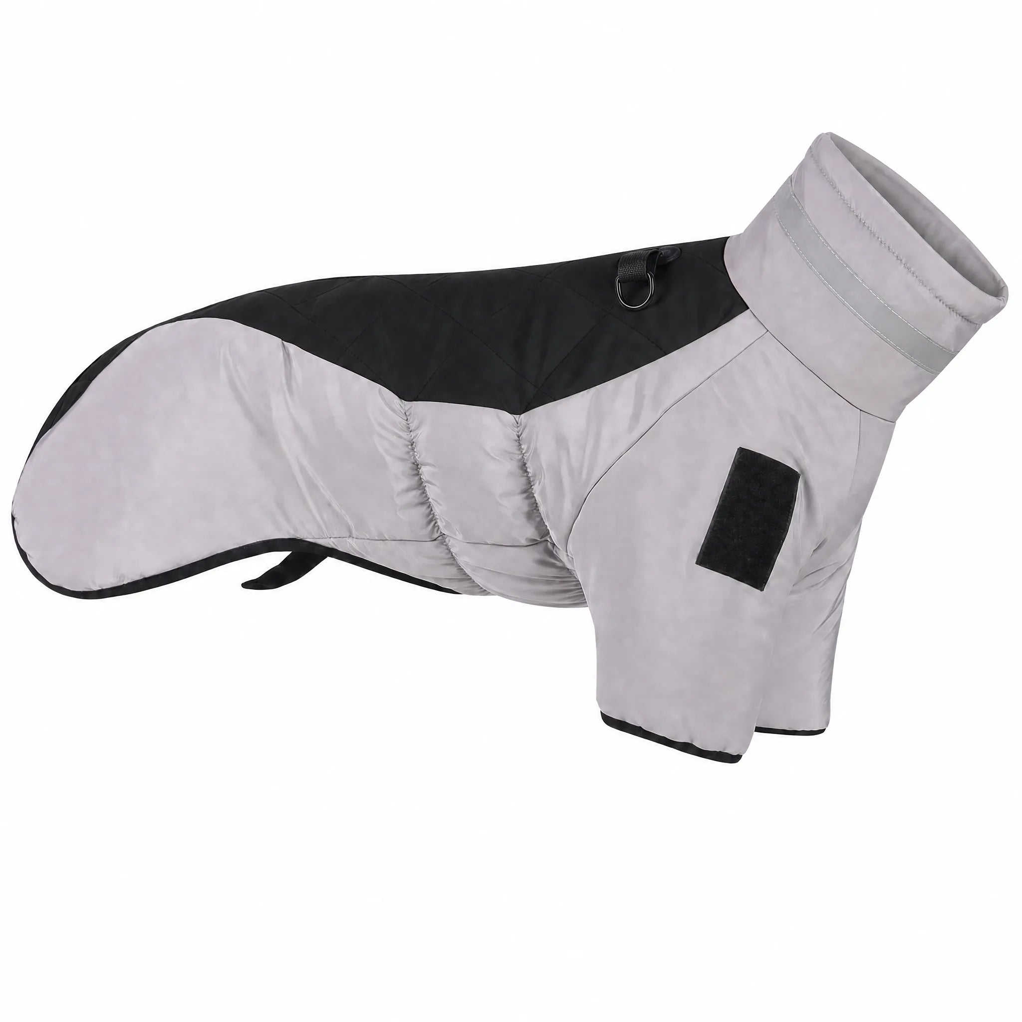 Cappotto cane invernale variante Nero studio — grigio e accent nero