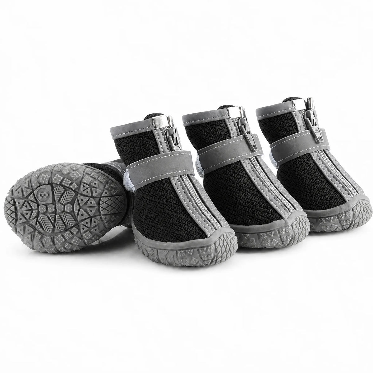Scarpe cane mesh zip colore nero set da 4