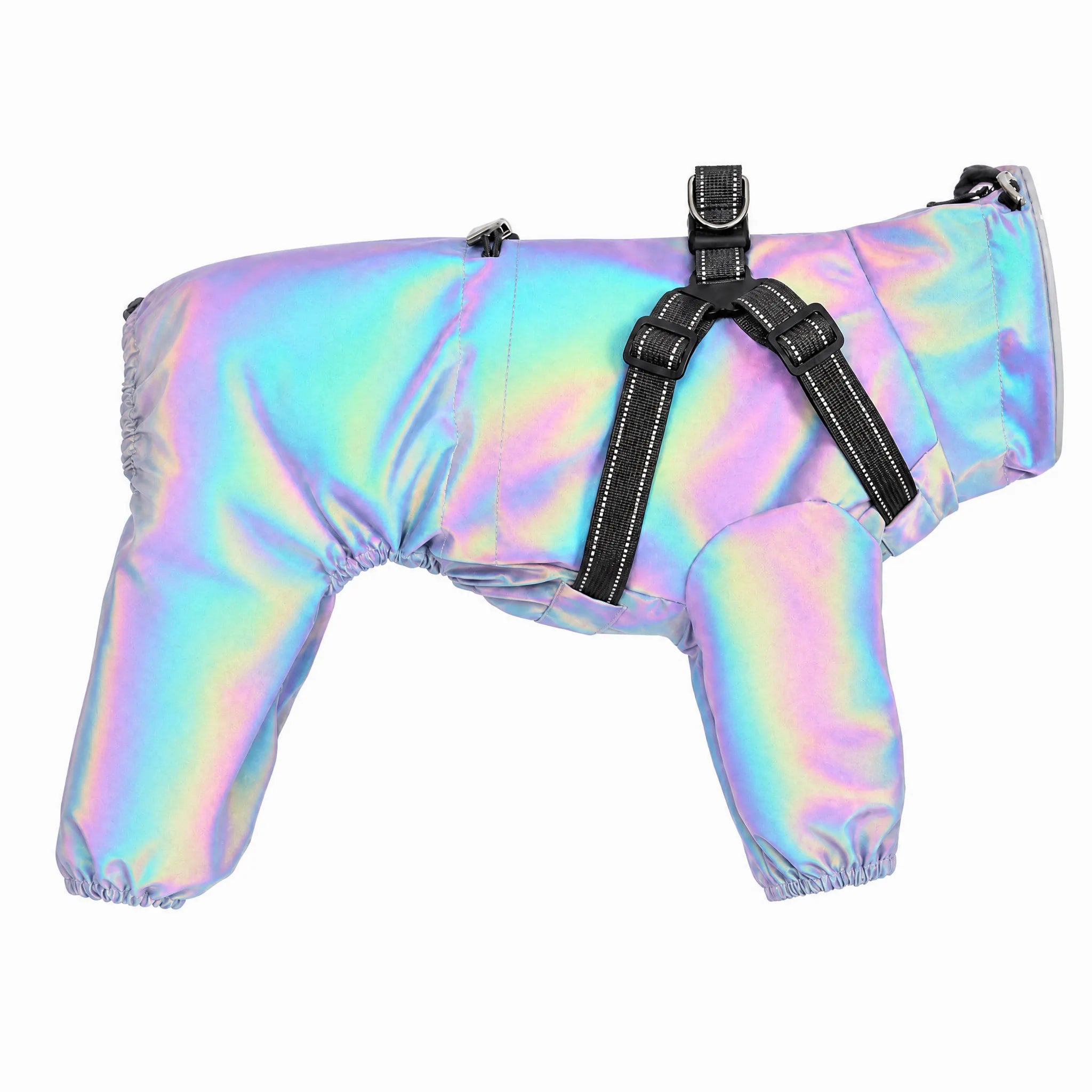 Impermeabile cane riflettente iridescente con pettorina — studio