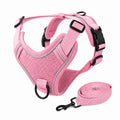 Set pettorina e guinzaglio cane colore Rosa