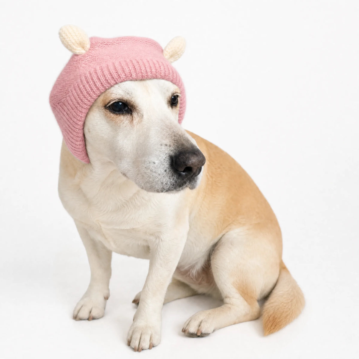 Cuffia antirumore per cani colore rosa