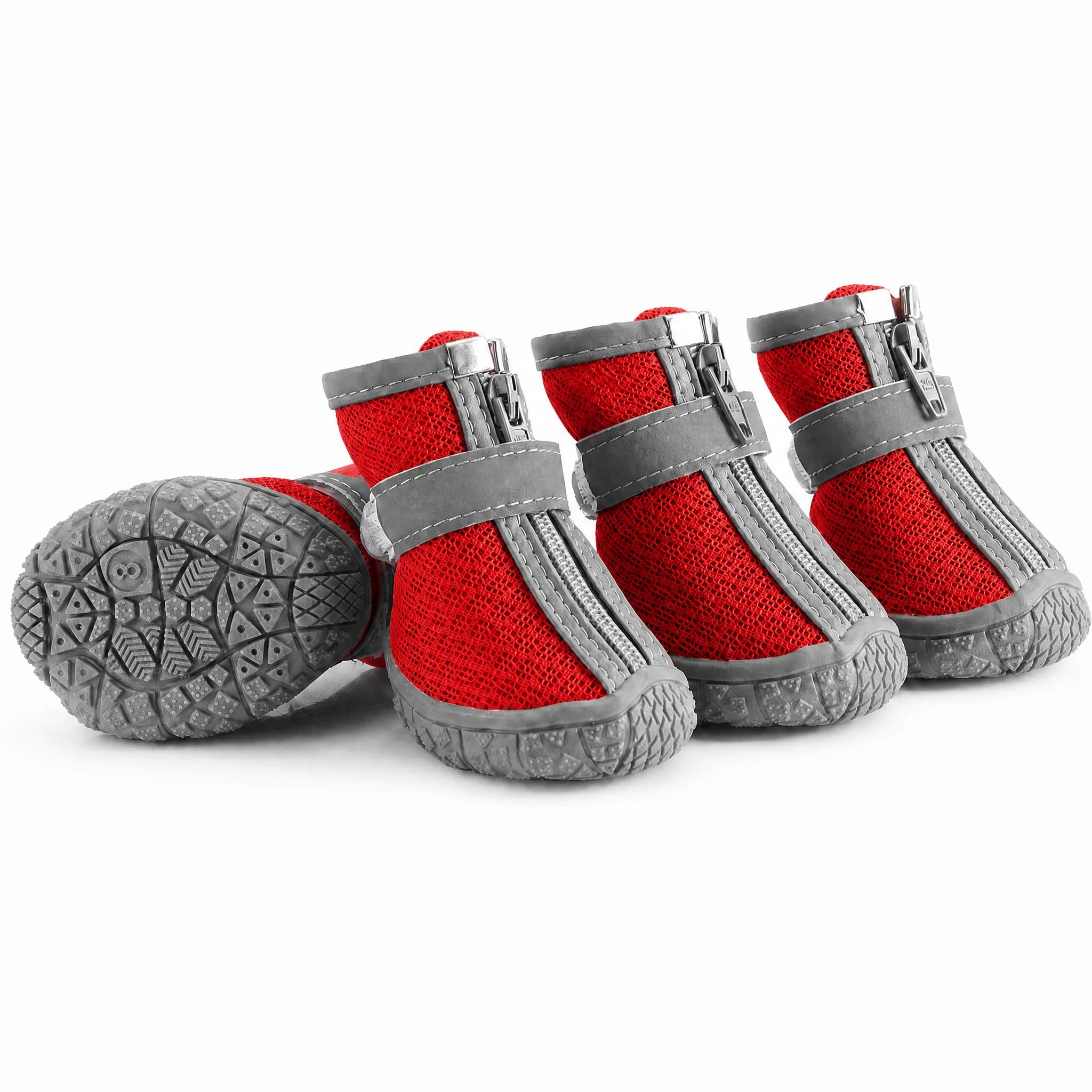 Scarpe cane mesh zip colore rosso set da 4