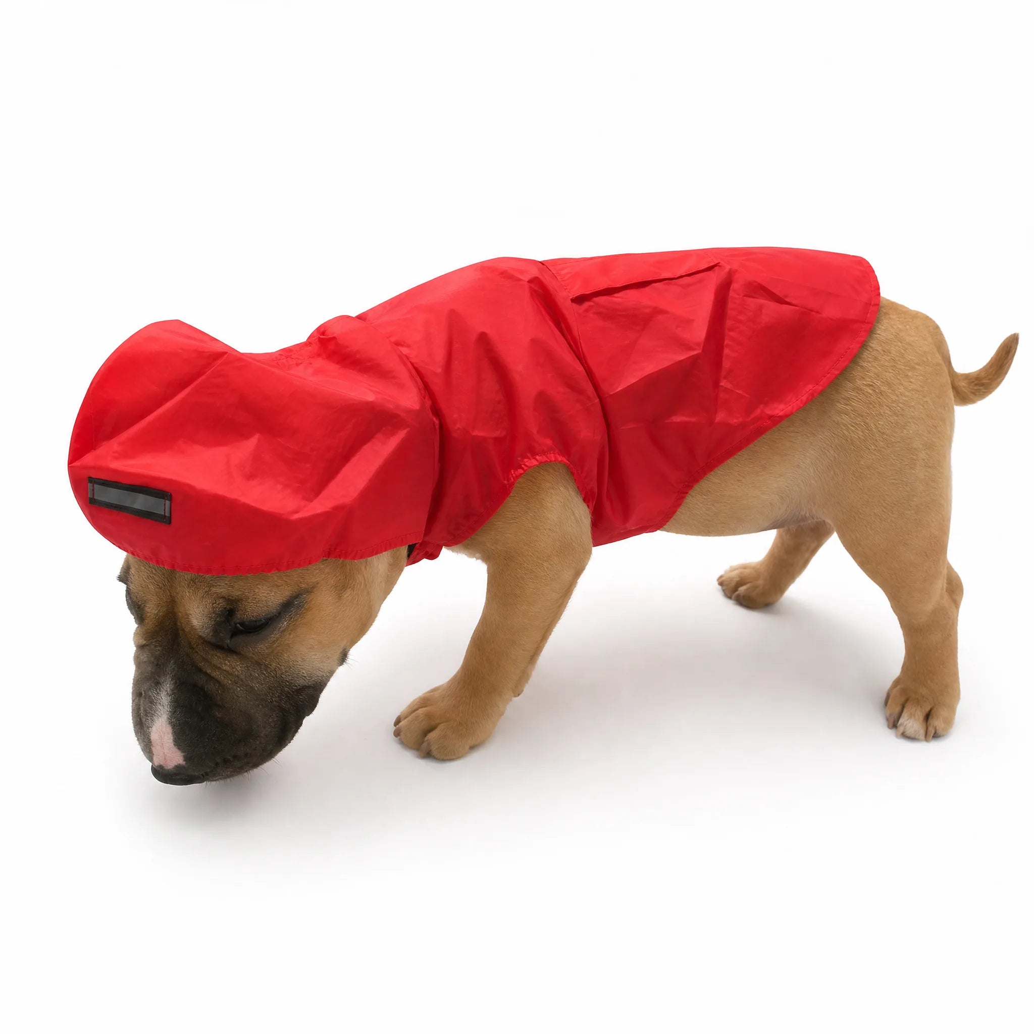 Poncho impermeabile per cani rosso con cappuccio, vista prodotto su bianco