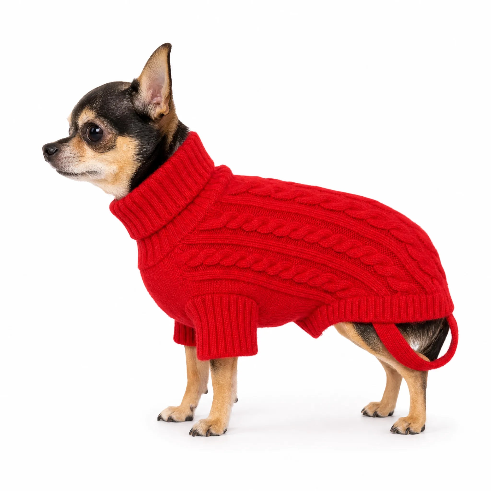 Maglione per cani dolcevita colore Rosso - vista laterale su sfondo bianco