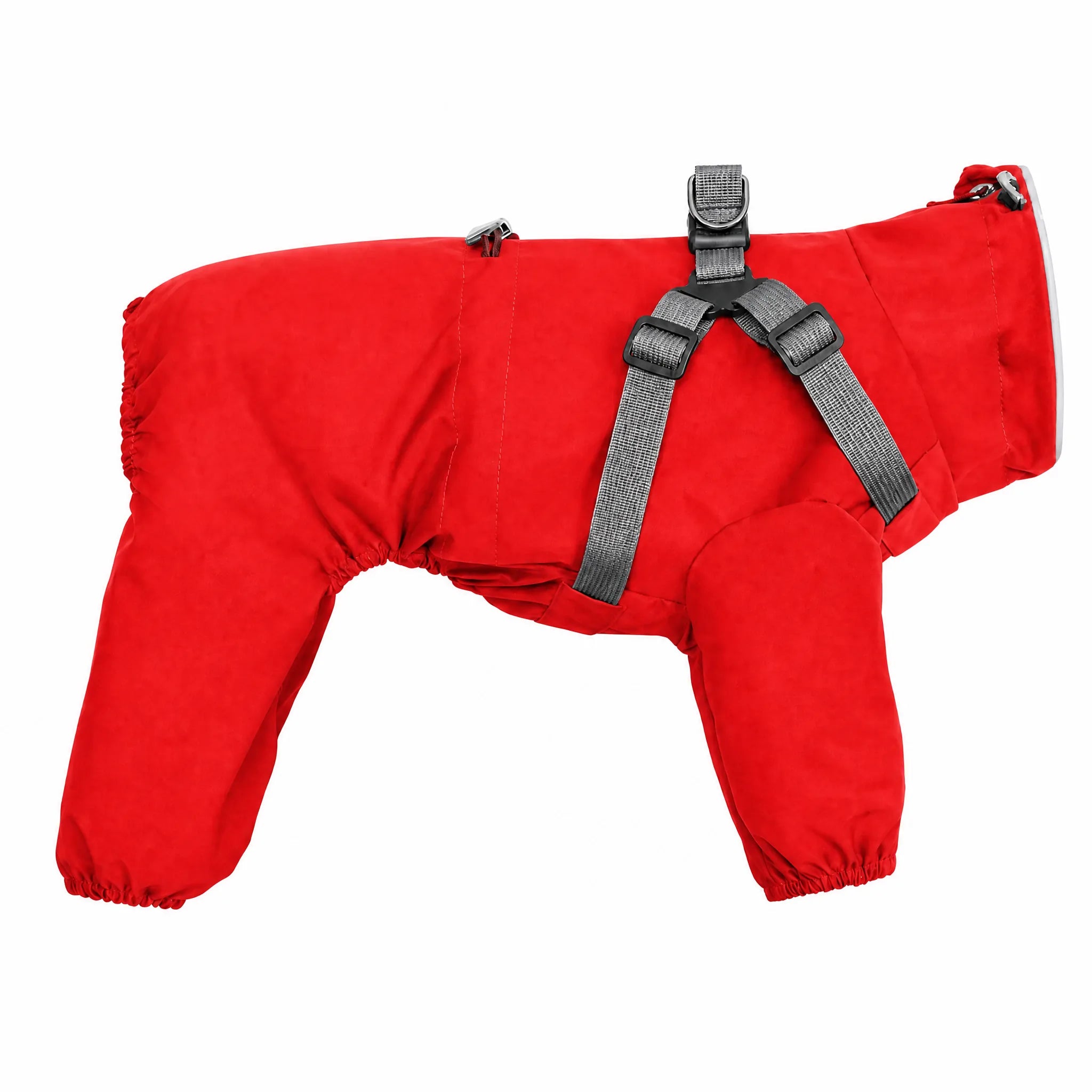 Impermeabile cane 4 zampe rosso con pettorina — studio