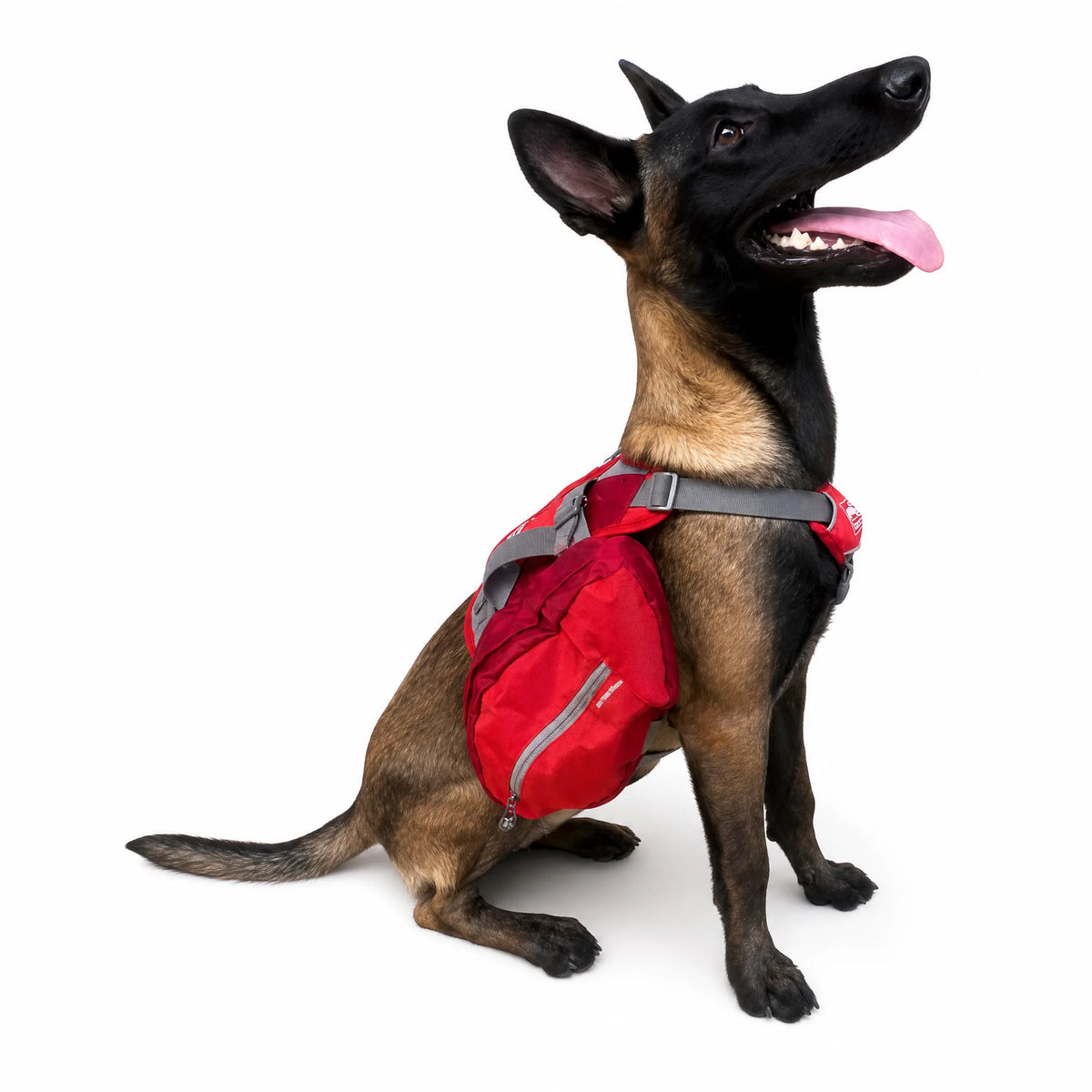Zainetto per cani da trekking rosso con cinghie grigie su sfondo bianco