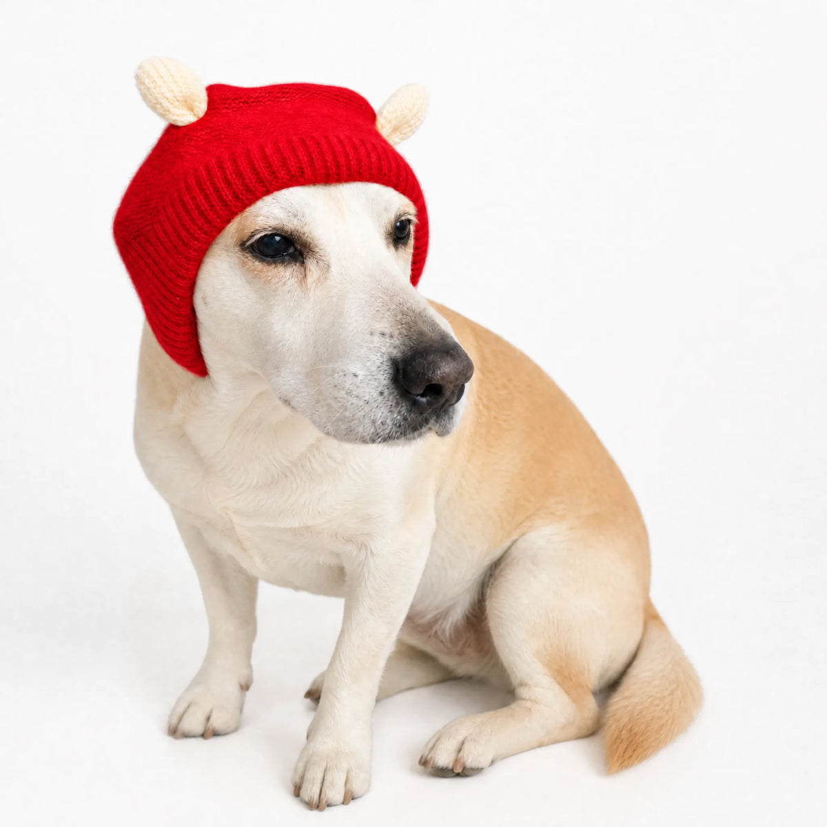 Cuffia antirumore per cani colore rosso