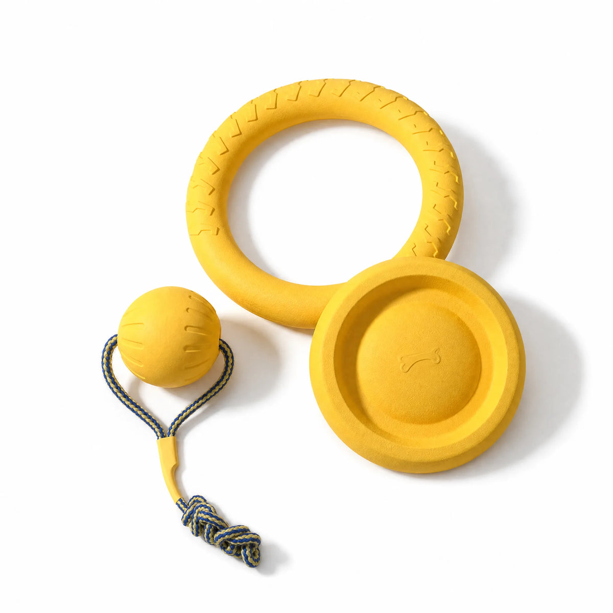 Set completo giochi cane EVA frisbee anello palla su bianco