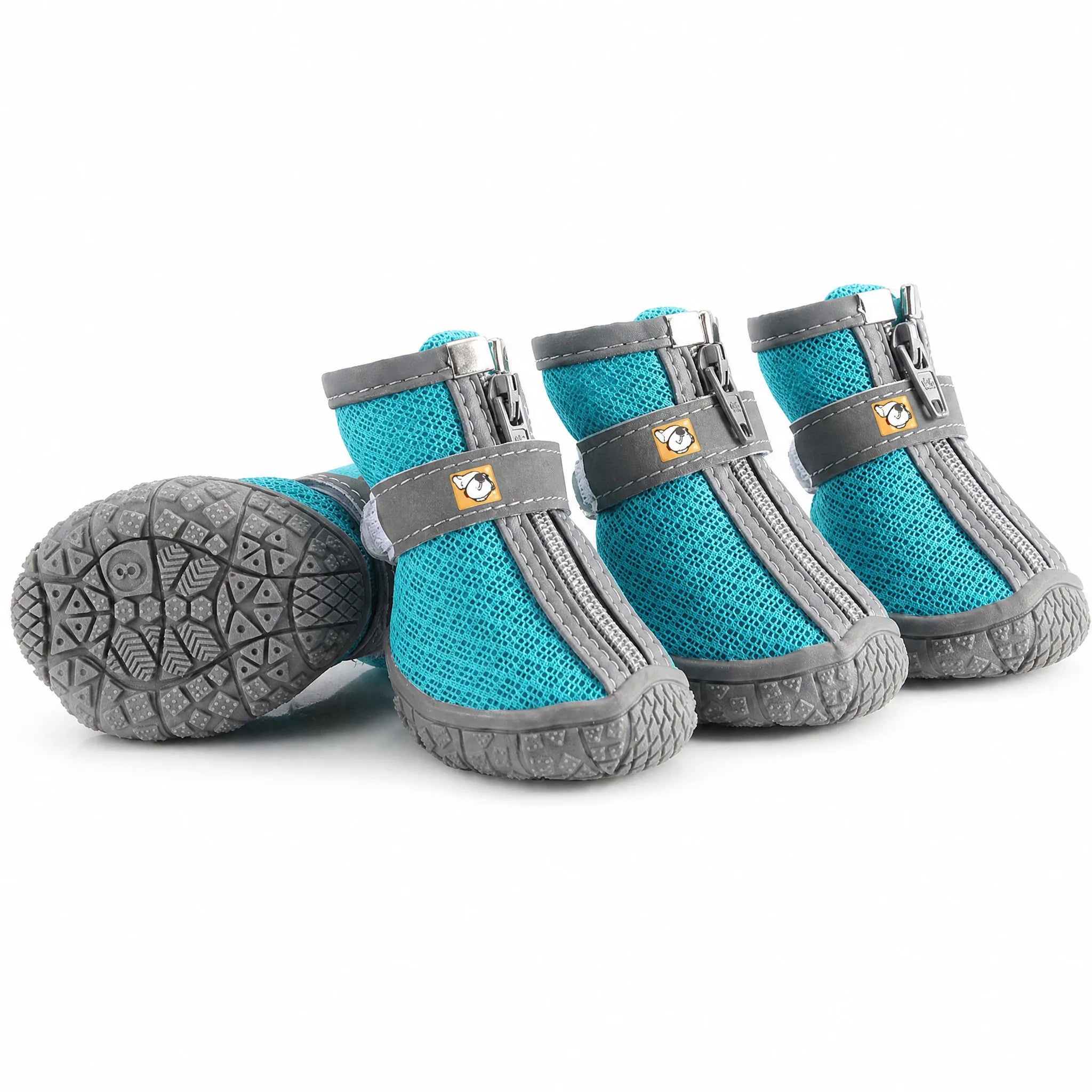 Scarpe cane mesh zip colore turchese set da 4