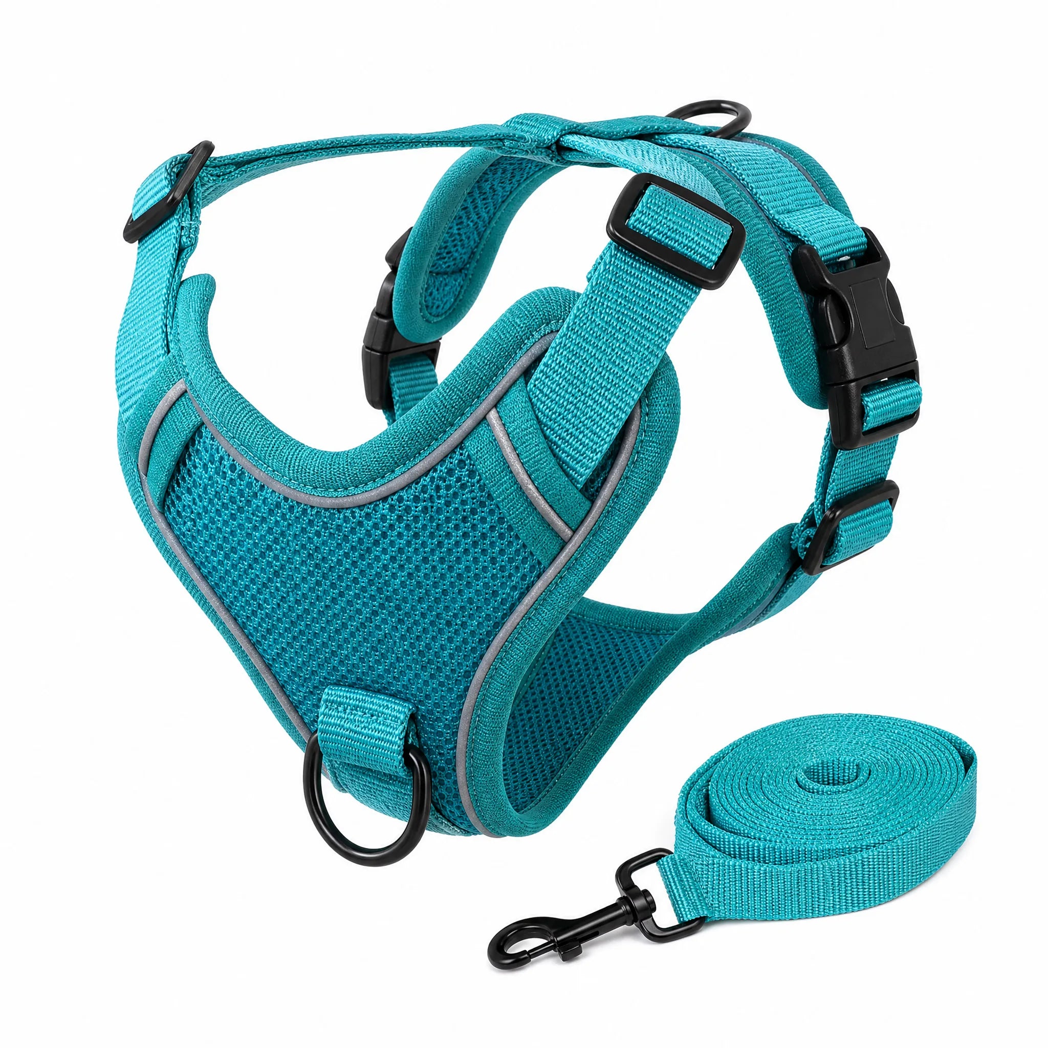 Set pettorina e guinzaglio cane colore Verde acqua