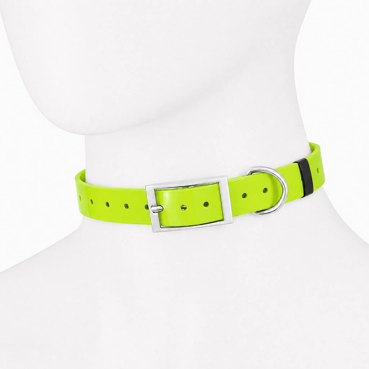 Collare cane TPU impermeabile verde neon 2,5 cm