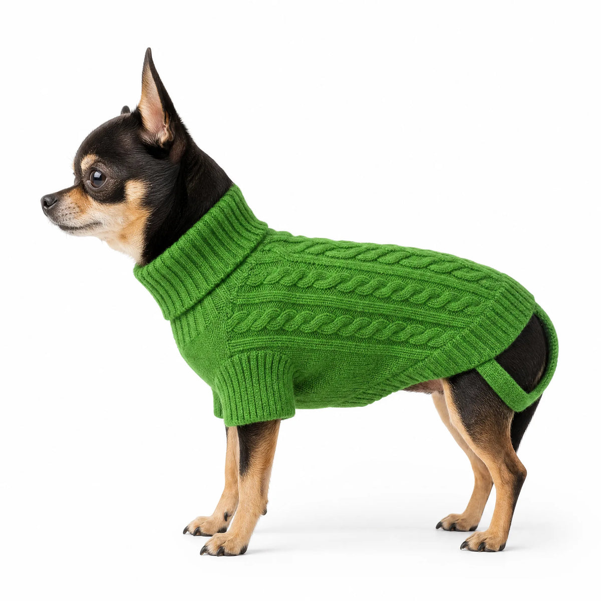 Maglione per cani dolcevita colore Verde Erba - vista laterale su sfondo bianco