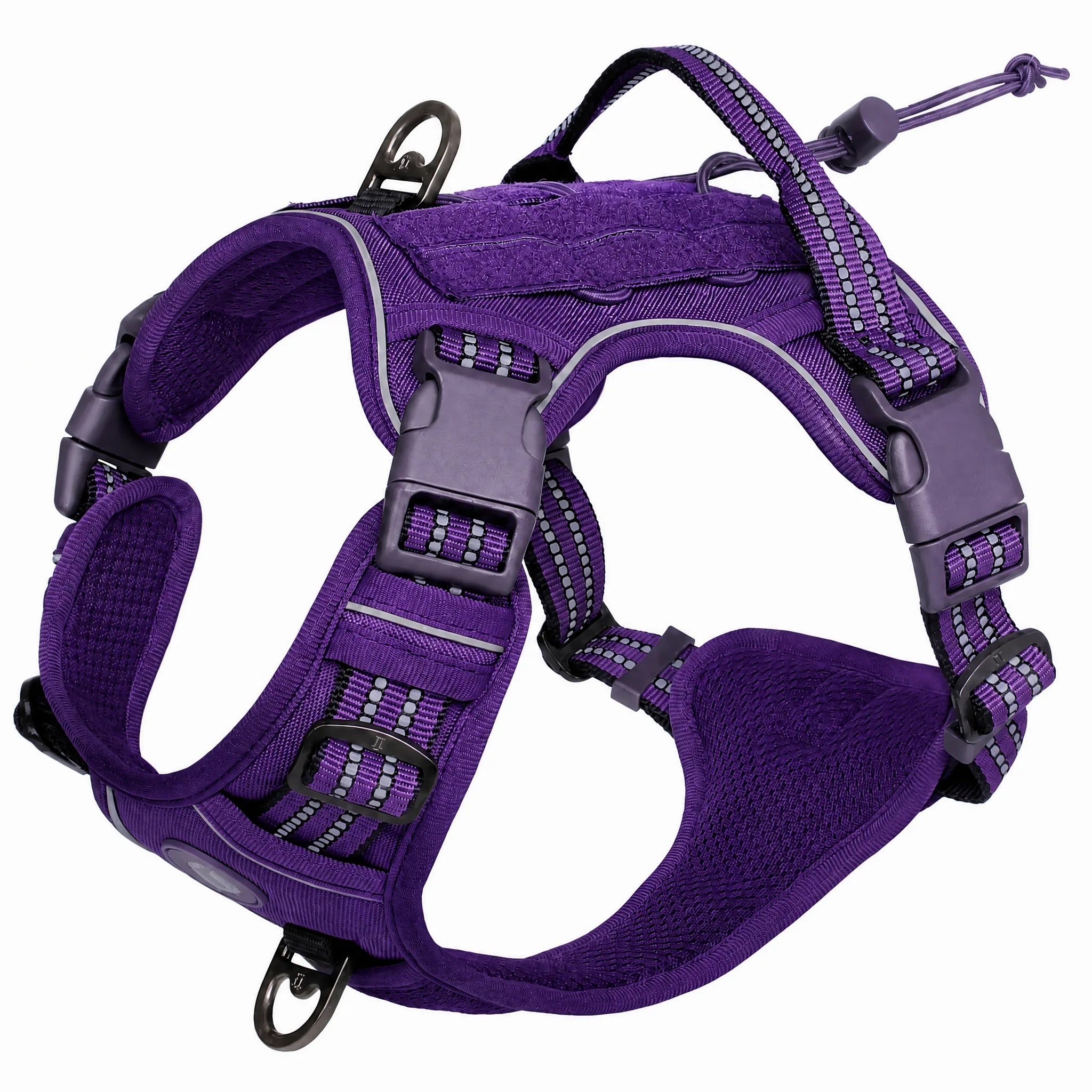 Pettorina tattica cane MOLLE colore viola studio