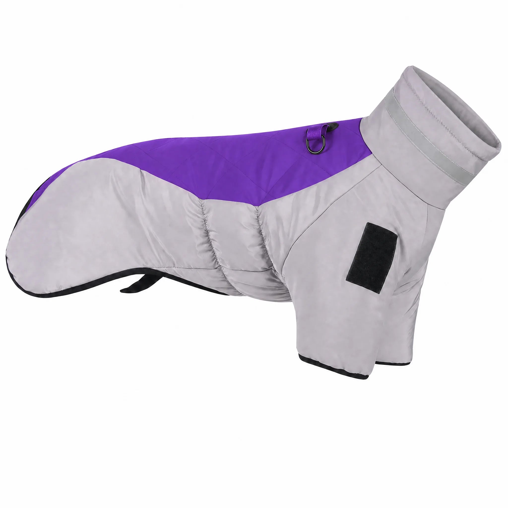 Cappotto cane invernale variante Viola studio — grigio e accent viola