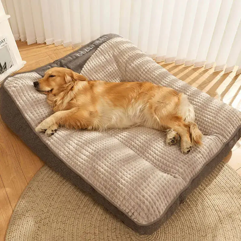 Cane disteso sul cuscino calmante