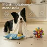 Kit FiutaSnack + SniffBall