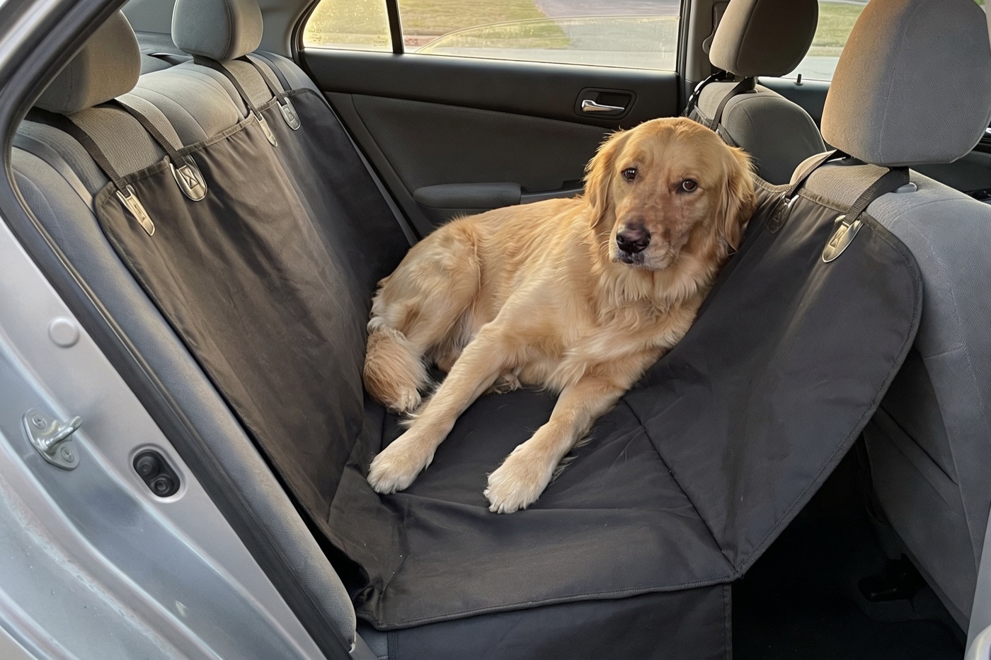 Cane su amaca morbida in auto con sedile posteriore poco stabile
