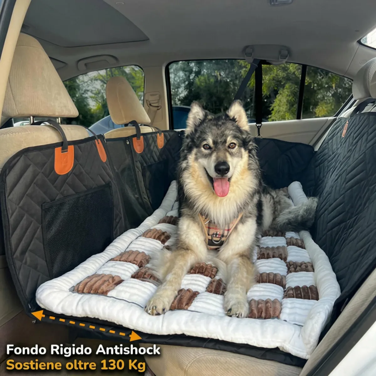 Cane su telo auto con cuccia