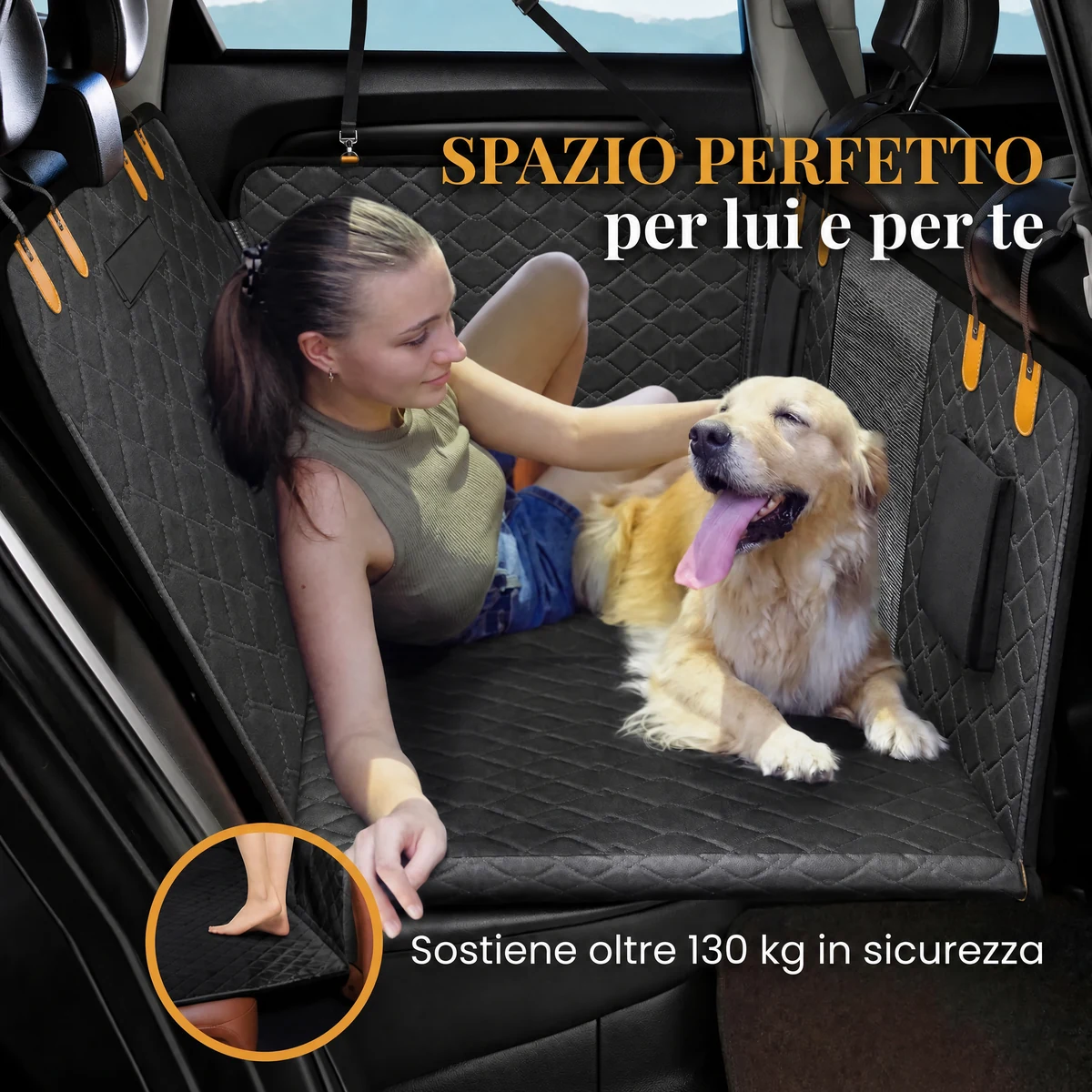 Massimo comfort cane auto
